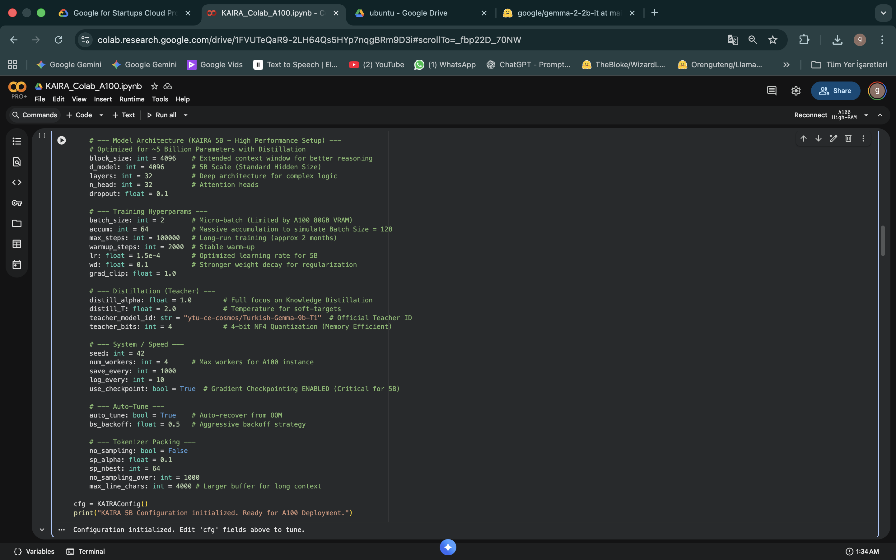 KAIRA Model Architecture